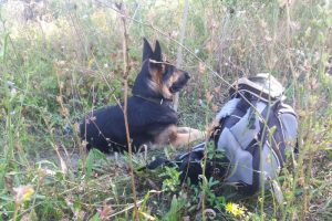 Поход с Кейси за бузиной