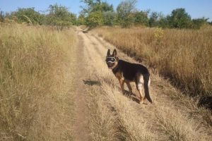 Зато Кейси прогуляла 5 часов