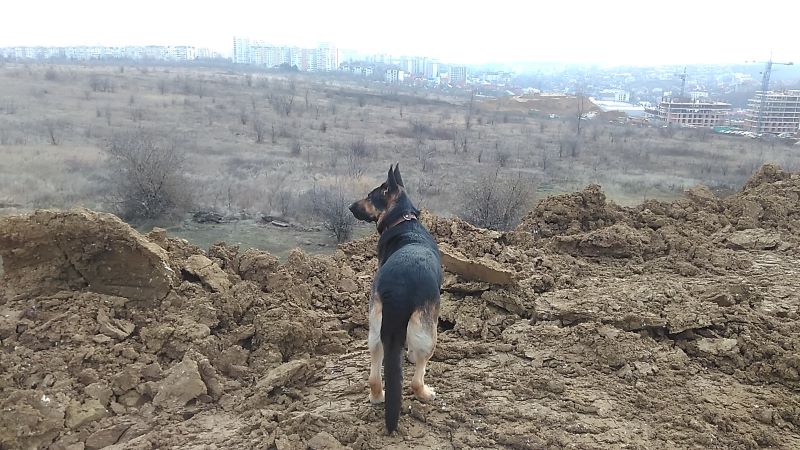 Мороз - и Кейси торжествует