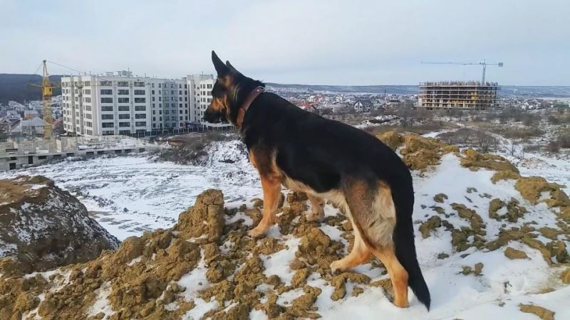 Эверест для Кейси